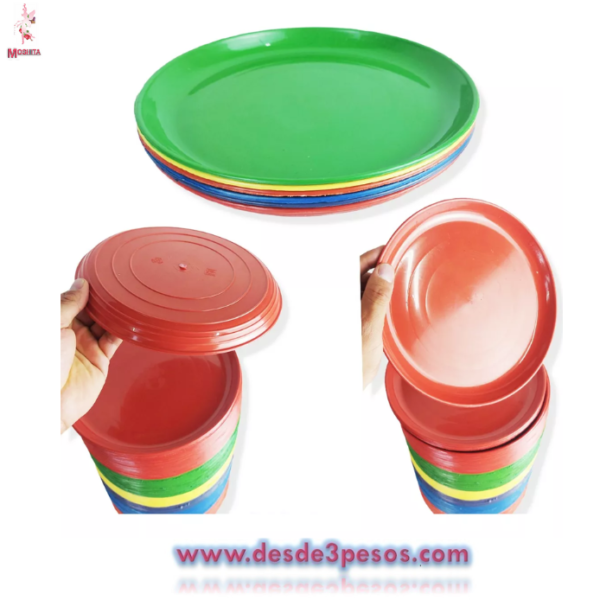 Plato Taquero. en colores 20 cm Diametro - Imagen 3
