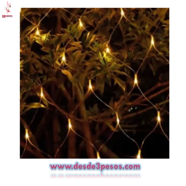 320 Luces Serie de Red Leds Magica Calido JL9517A 1.65X1.65M Cable verde - Imagen 2