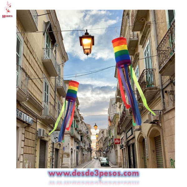 LGBT CALCETIN DE VIENTO arco iris 1mt. De largo por 6cm. Diametro