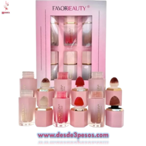 Cartera de 6pza. 2 De Rubor 2 Iluminador y 2 contorneadores 6.5ml. FAVORBEAUTY
