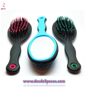 Cepillos con Espejo,4 Colores, Rosa, Rojo, Verde y Azul, Medidas 20 cm X 5.5 cms Costo Unit. $4