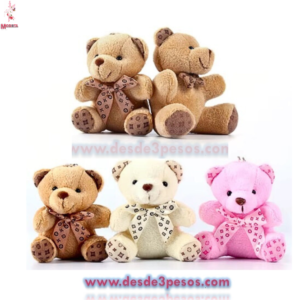 Oso de Peluche en colores con chupon para vidrio presentacion como foto 18 x 20 cm.