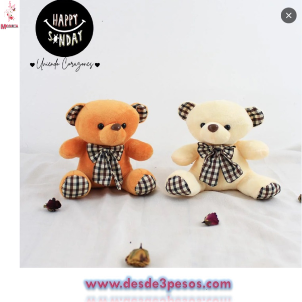 Oso de Peluche en colores con chupon para vidrio presentacion como foto 18 x 20 cm. - Imagen 2