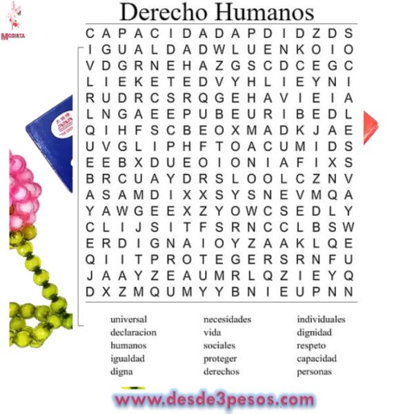 Libro de Sopa de Letras 24 hojas 27 X 21cm. - Imagen 2