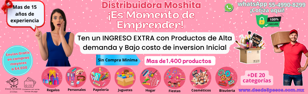 Presentacion a Inversionistas 16 JUN 25