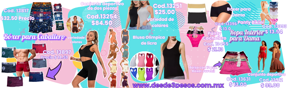ropa Interior Actualizado