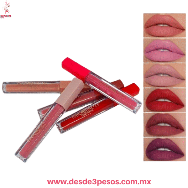 FAVOBEAUTY Set de 12 Brillos Labiales Nude Mate - Larga Duración LG3098 - Imagen 2