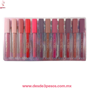 FAVOBEAUTY Set de 12 Brillos Labiales Nude Mate - Larga Duración LG3098
