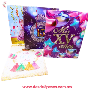 Paquete con 12 Bolsas de Regalo GRANDE con Decorativo para XV años varios modelos  39 x 25 cm