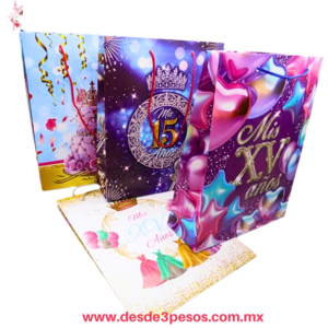 Paquete con 12 Bolsas de Regalo MEDIANA con Decorativo para XV años varios modelos  28 x 22 cm