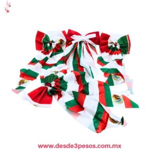 Pico de Garza Tricolor con listón Satinado trae el escudo nacional impreso  28 X 14 cm. 25G-5