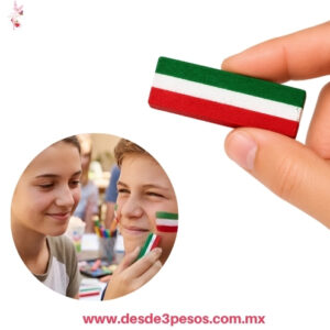 Gis tricolor 8 cm de largo en estuche de plastico